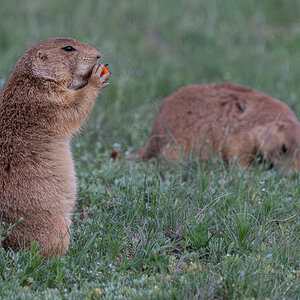 DSC_9033-Verbessert-RR.jpg