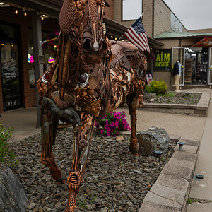 DSC_9106.jpg