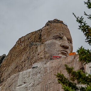 DSC_9113.jpg