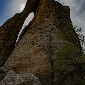 DSC_9276.jpg