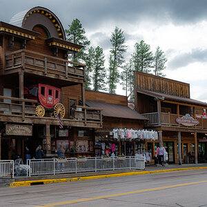 DSC_9350-Bearbeitet.jpg