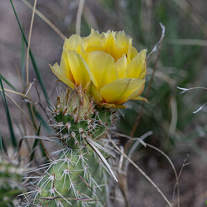 DSC_9413.jpg