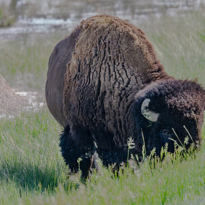 DSC_9449-Bearbeitet-2.jpg