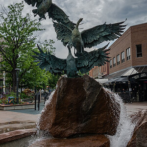 DSC_9590.jpg