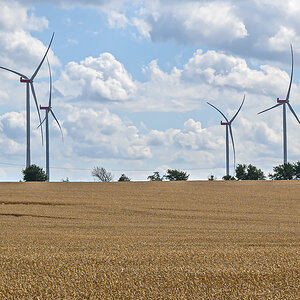 OFZ_01767.jpg