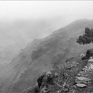 _DS24381.jpg
