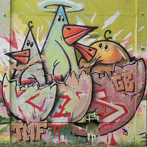 WKZ_4393_dim 97.JPG
