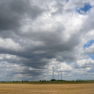 OFZ_01746.jpg