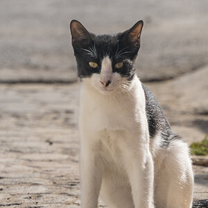 A7R02845-2.jpg