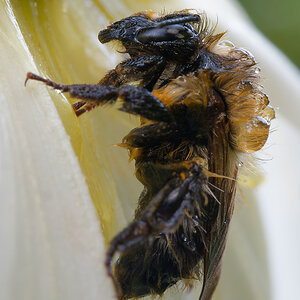 N8024553nikon.jpg