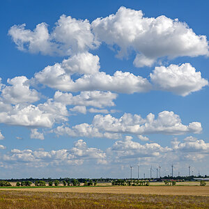 OFZ_01826.jpg