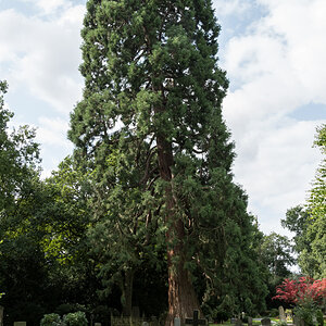 250806-003.jpg