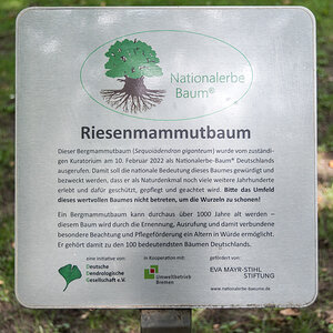 250806-006.jpg