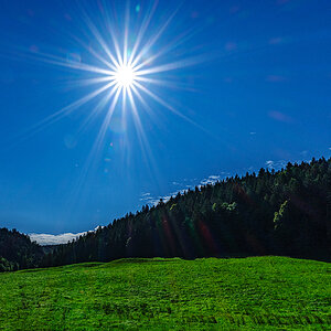 Gegenlicht.jpg