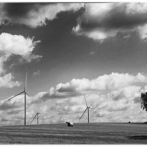 Windpark 1_BW.jpg