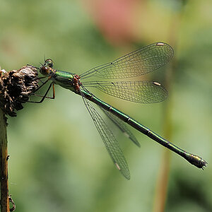 N8104983_9_focusstackingnikon.jpg