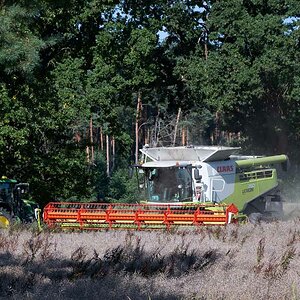 Claas Lexion 760 - 3.jpg