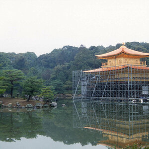 x Kyoto, Kinkaku-ji.jpg