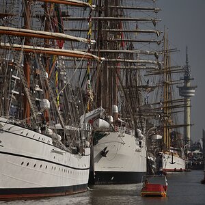 D75_9847.JPG