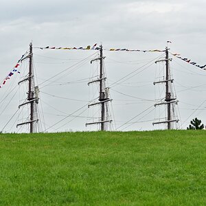 D75_9704.JPG