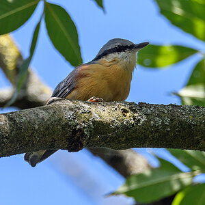 OF5_50720.jpg