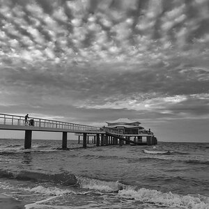 compIMG_0029 (1).jpg