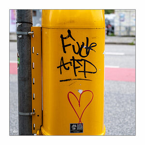 202/365 Dahabflex – Fck AfD © 2025 Sabine Lommatzsch