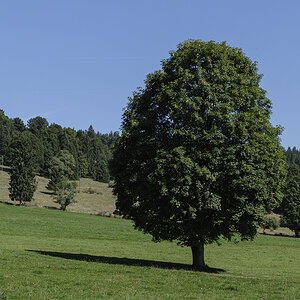 Jura.jpg