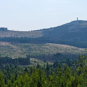 OF2_75007.jpg