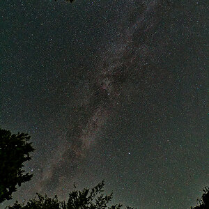 N8196223nikon.jpg