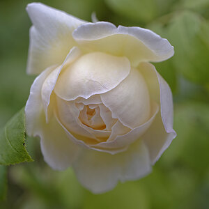 _6005505_DxOxl.jpg
