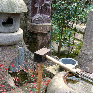 Miyajima, Quelle.jpg