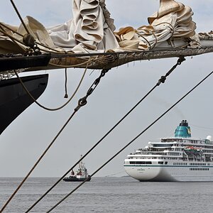 amadea.jpg