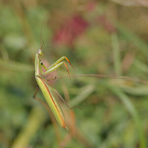 N8266655nikon.jpg