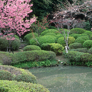 Beppu, Park 2.jpg