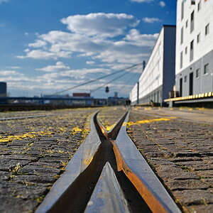 ZSC_1329_2_nff.JPG