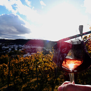 Wein3.jpg