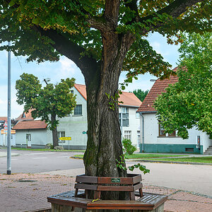 OFZ_02119.jpg