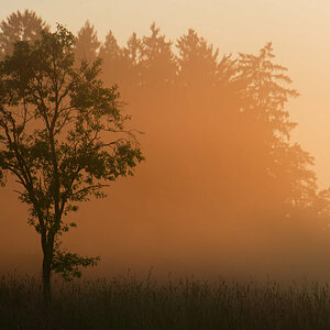 Dunst am Abend