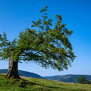 Jura.jpg