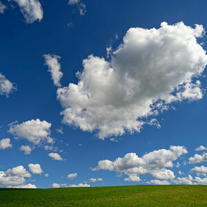 Nicht Windows XP