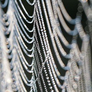 N9067099nikon.jpg
