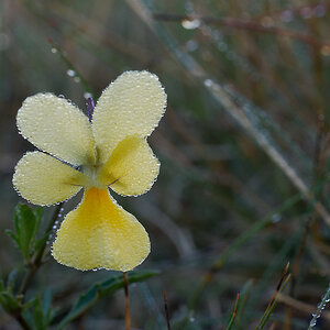 N9067122nikon.jpg