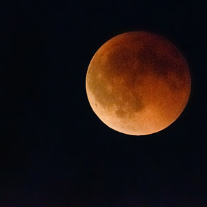 OF5_51130.jpg
