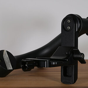Z81_7677.JPG