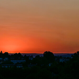 DSC_6929.jpg