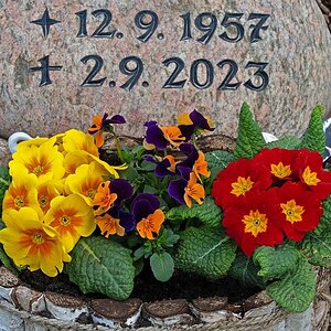 Gabi's Grabstein.jpg