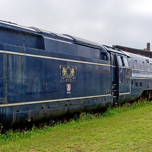OF2_75446.jpg