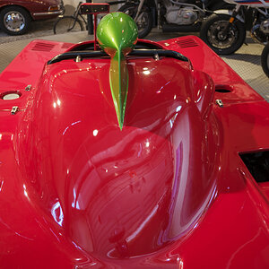 T51X0028-1.JPG