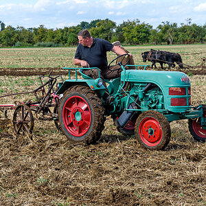 OF2_75272.jpg